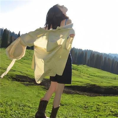 终结杉计划